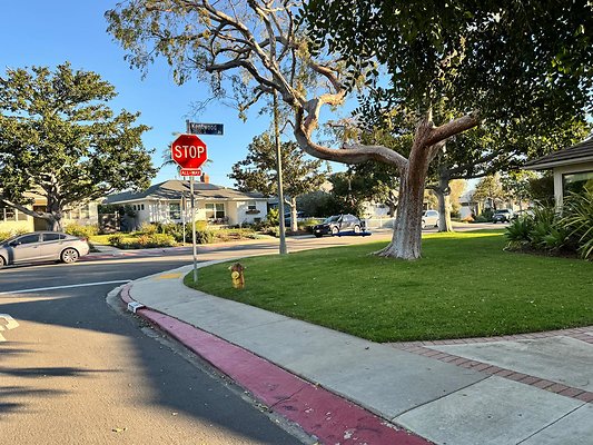 IMG 0620