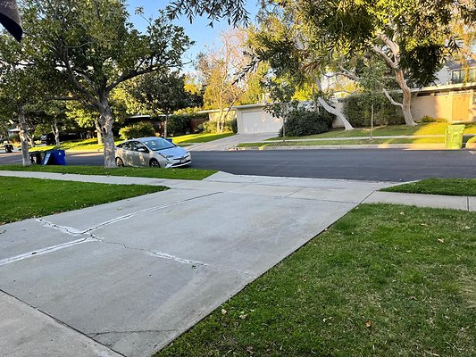 IMG 0551