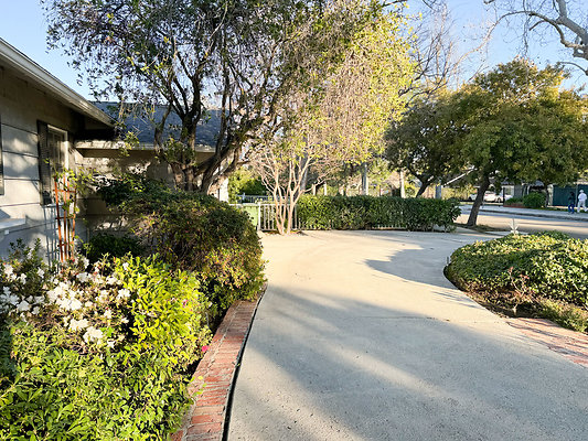 IMG 9065