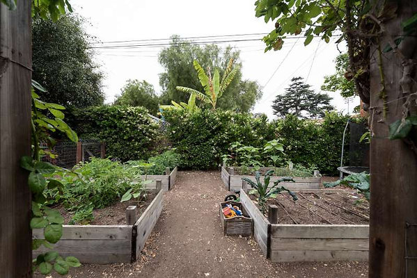 11035 garden 4