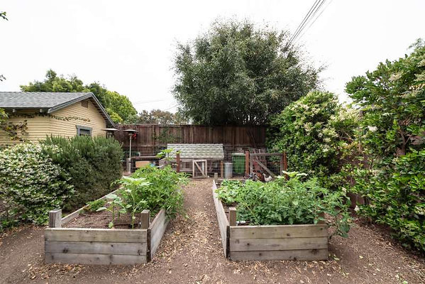 11035 garden 3