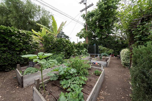 11035 garden 6