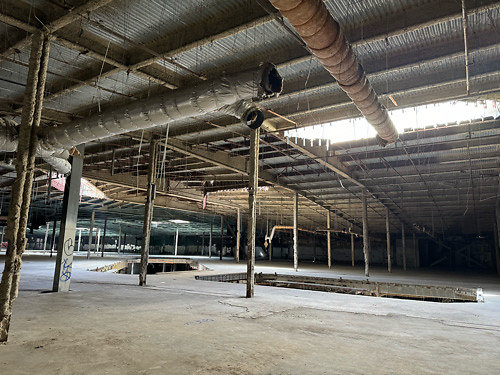IMG 1215
