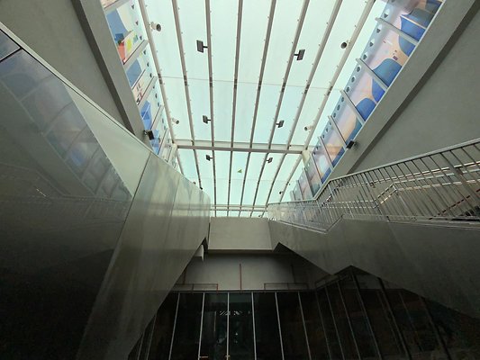 IMG 1511
