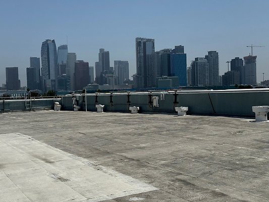 th IMG 0460