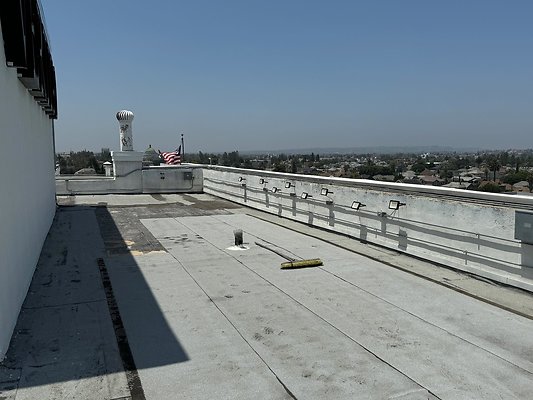 th IMG 0482