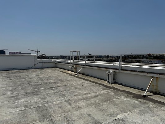 th IMG 0450