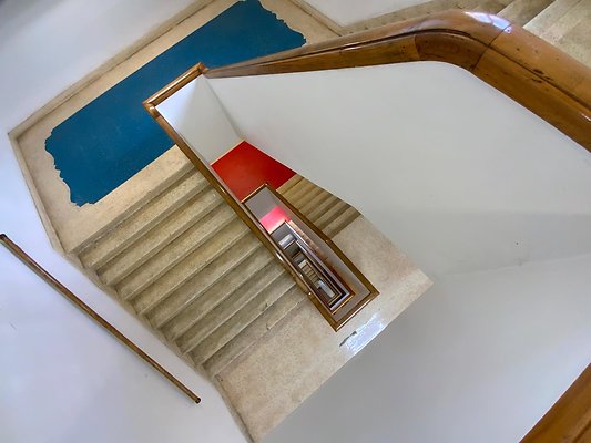 IMG 1554