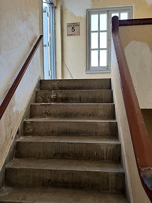 th IMG 0362