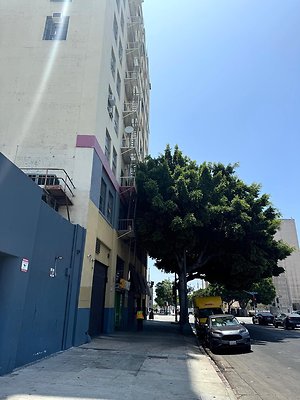 th IMG 0517