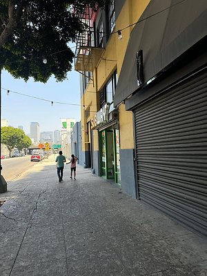 th IMG 0520