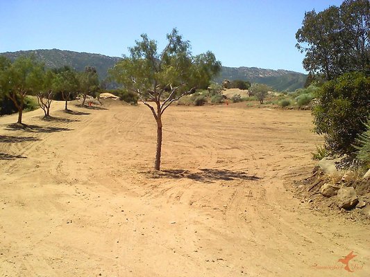 Landscapes 11