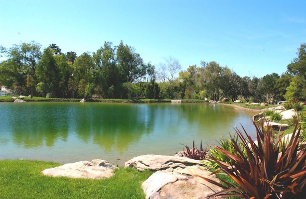 Landscapes 30 Lake 01