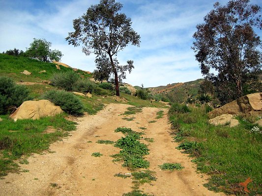 Roads 24 Behind Guest Houses
