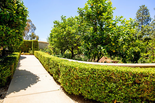 UNIVERSAL-D333-BH-98