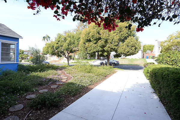 DSC 7019