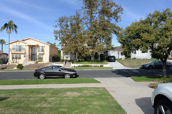 DSC 7023