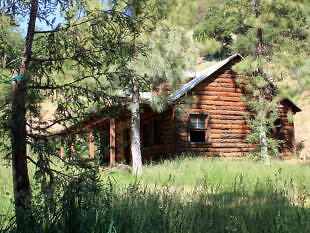 20068