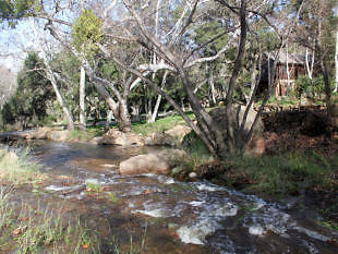 CANYON RANCH