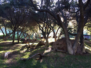 20063