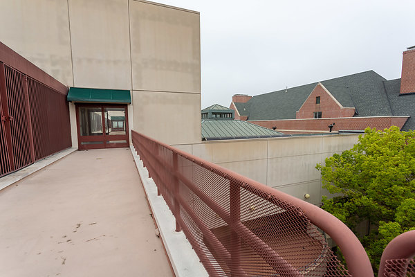 IMG-06519