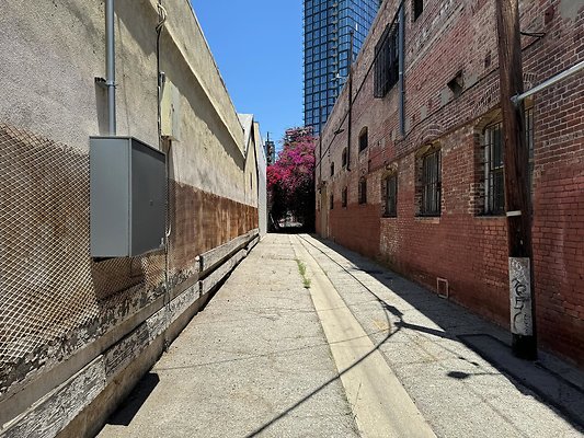 th IMG 0936