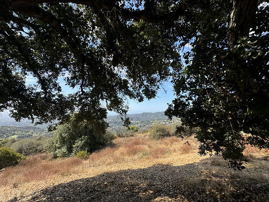 IMG 2544