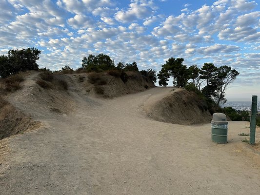 Charlie Turner Trail - Berlin Forrest
