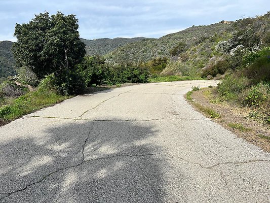IMG 0550