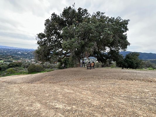IMG 0583