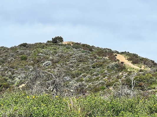 IMG 0554
