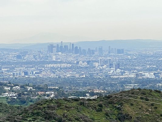 IMG 0586