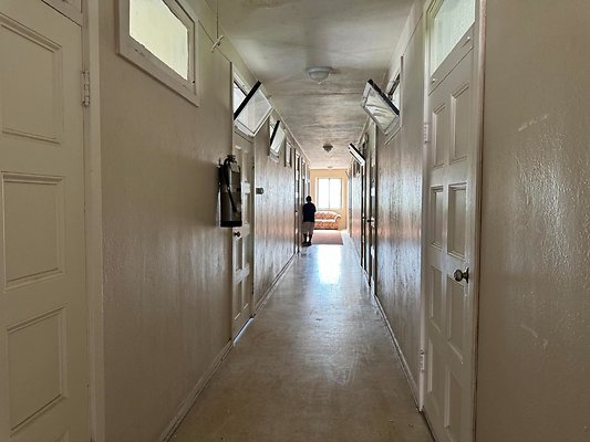 th IMG 1654