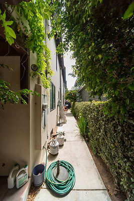 12037 garden 1