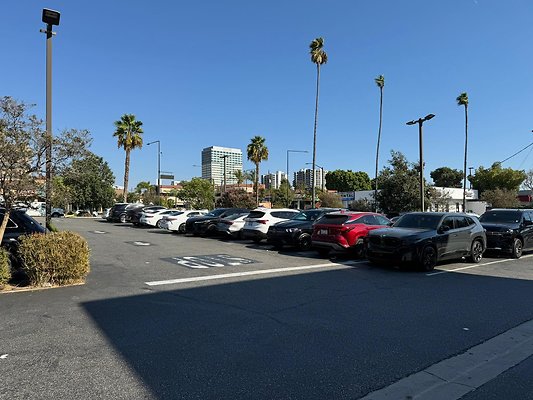 IMG 6313