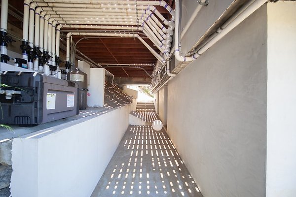 IMG 7036