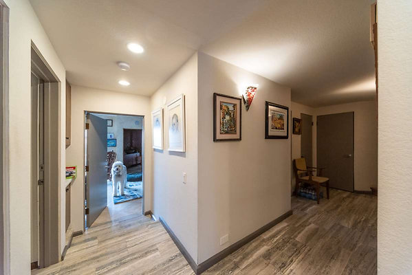 2538 hall 5