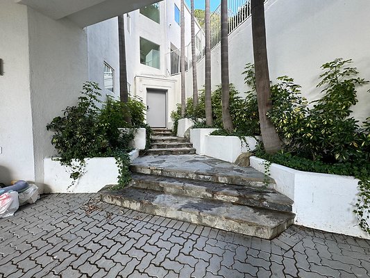 IMG 0468