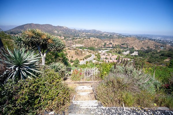 IMG 7349