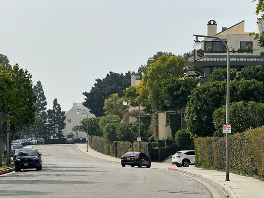 IMG 9821