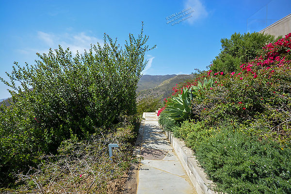 MO3098 051