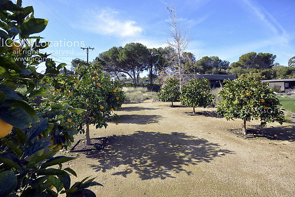 MO3023 036LR-ICON - ICON Locations | www.ICON-LA.com Modern  for Filming