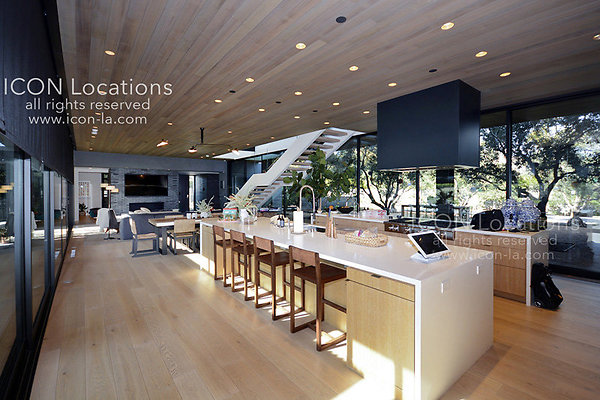 MO3023 012LR-ICON - ICON Locations | www.ICON-LA.com Modern  for Filming