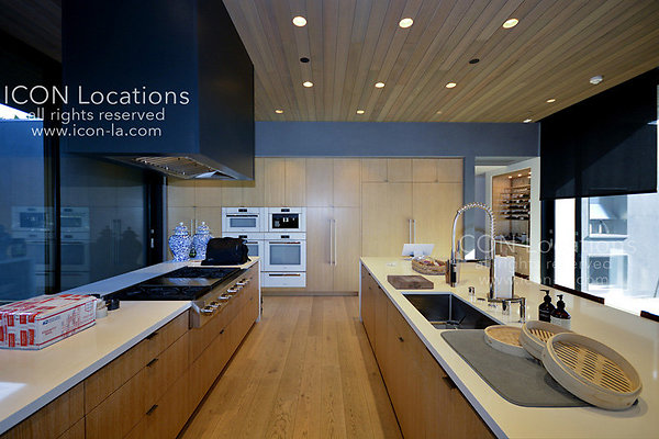 MO3023 013LR-ICON - ICON Locations | www.ICON-LA.com Modern  for Filming