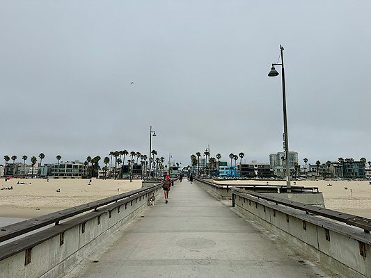 IMG 2519
