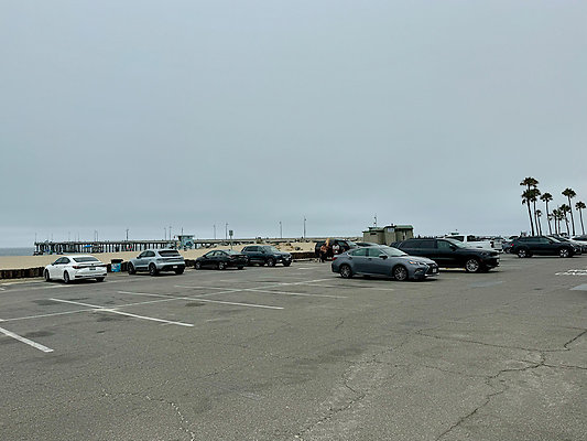 IMG 2559