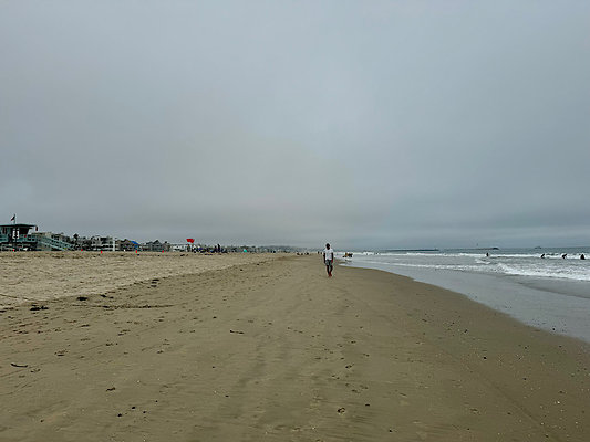 IMG 2537