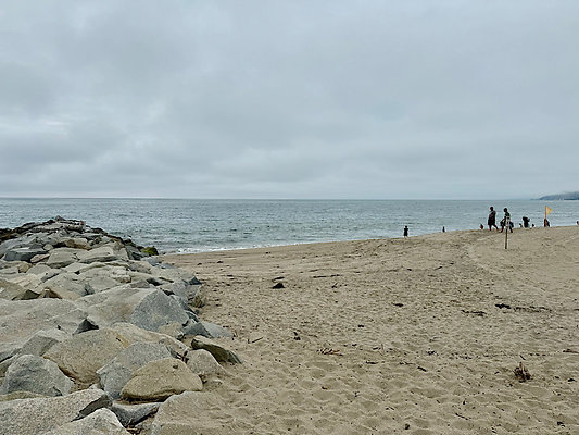 IMG 2617