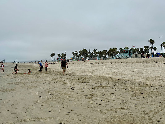 IMG 2577