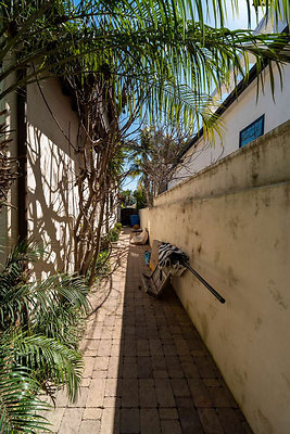 13231 garden 2